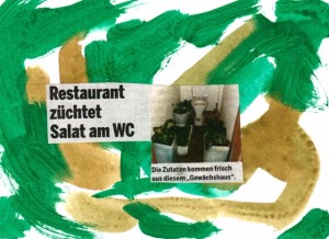 0005 Salatzucht