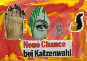 0006 neue Chancen bei der Katzenwahl