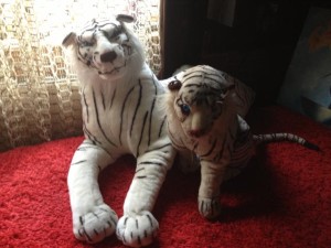 Siegfried und Roy