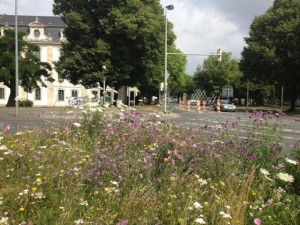 Straßeninselblumenmeer