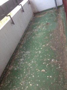 Taubenkackenbalkon 2