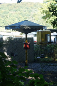 DSC01218