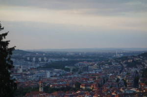 DSC05336