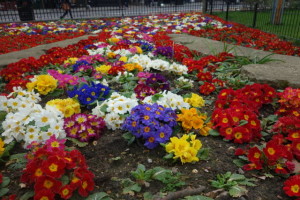DSC00186