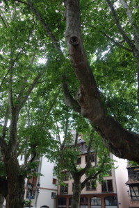DSC00895
