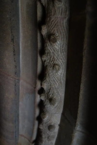 DSC00906
