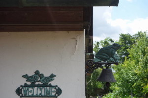 DSC02591