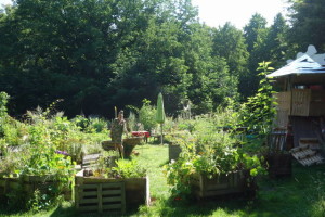 DSC02644